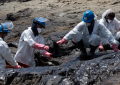 Perú decretó emergencia climática debido a el derrame petrolero tras el tsunami