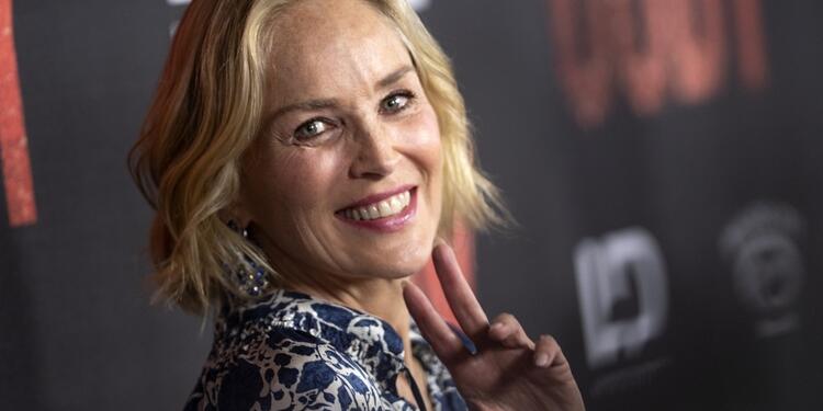 Sharon Stone causó sensación en la alfombra roja de Cannes con su vestido