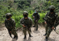 Fracasó captura de un cabecilla de las disidencias de las Farc en Antioquia