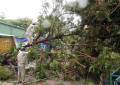 Tifón Noru azota a Vietnam, inunda ciudades y destruye viviendas