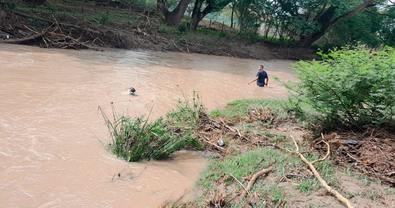 The search continues for a woman swept away by the Pereira River