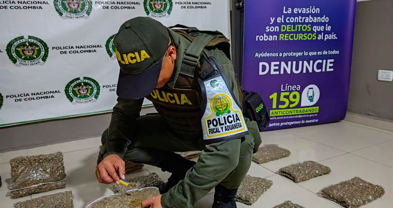 They seized 25 thousand grams of marijuana in Bosconia