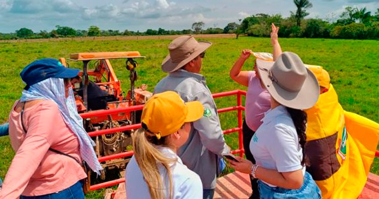 Predios vinculados al clan del golfo y a la casa Castaño fueron recuperados por la ANT
