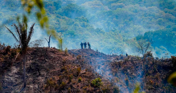Curumaní pide auxilio ante incendio que ha arrasado 14.000 hectáreas